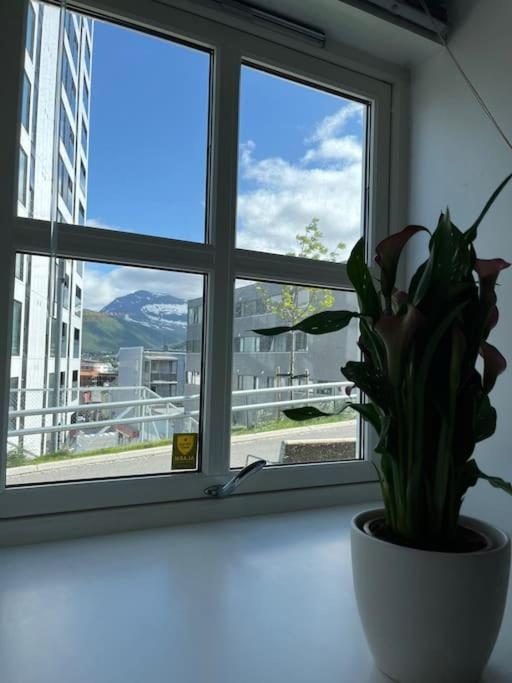 Cozy Ground Floor Apartment ทรอมโซ ภายนอก รูปภาพ