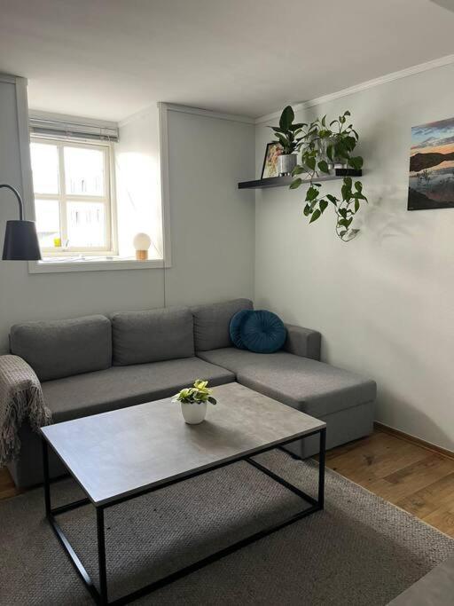 Cozy Ground Floor Apartment ทรอมโซ ภายนอก รูปภาพ
